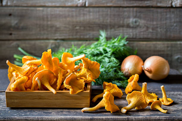 funghi chanterelle freschi su tavolo rustico - chanterelle foto e immagini stock