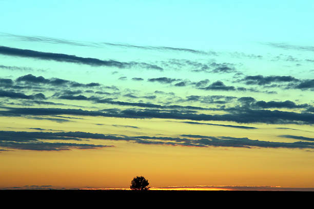istock the sunrise with a lone tree on the horizon 614611574