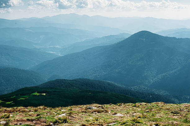 180+ Sun Jihai Photos Stock Photos, Pictures & RoyaltyFree Images iStock