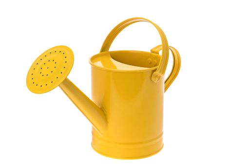Painted watering can
