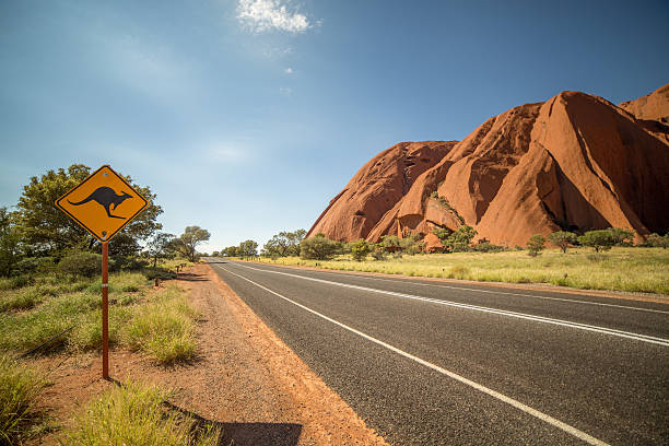 Kangaroo warning sign in the outback, Australia Kangaroo warning sign in the outback, Northern territory, Australia. kangaroo crossing sign stock pictures, royalty-free photos & images