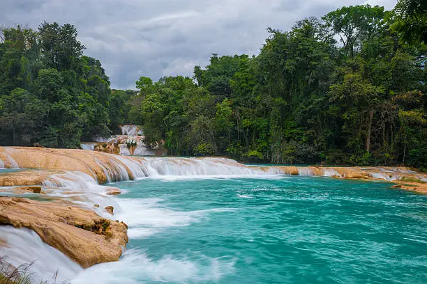 The waterfalls of Agua Azul close to Palenque, Mexico. 