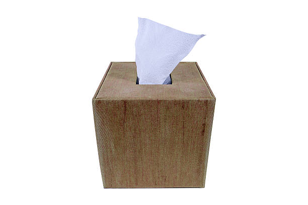 istock Green and brown silk box of Tissues Isolated On White 614618818