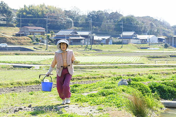 japanese old person doing agricultural work in rural area - gardening senior adult action couple imagens e fotografias de stock