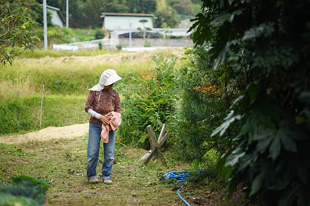 istock Japanese old person doing agricultural work in rural area 614619074