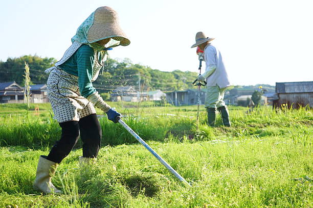 a vecchio giapponese che fa lavori agricoli nella zona rurale - gardening couple senior adult ethnic foto e immagini stock