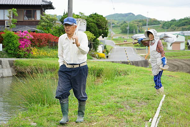 japanese old person doing agricultural work in rural area - gardening senior adult action couple imagens e fotografias de stock