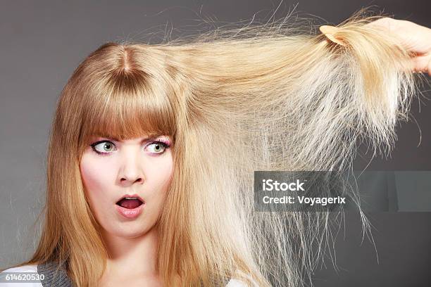 Blonde Woman With Her Damaged Dry Hair Stock Photo - Download Image Now - Damaged, Human Hair, Adult