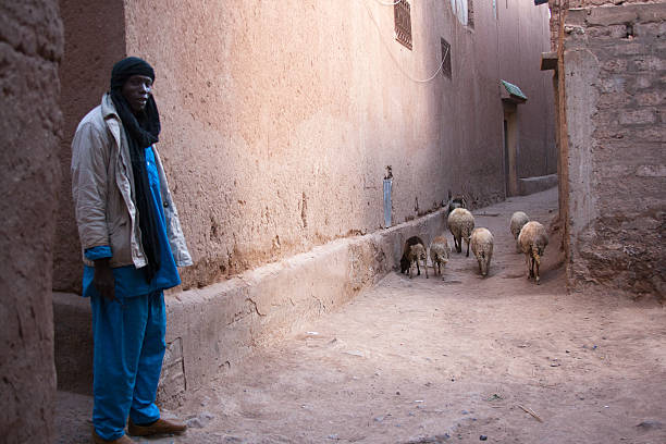 Portrait of a mid-age farmer holding a sheep on his shoulders outdoors.