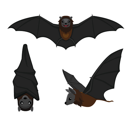 Cute Bat Poses Cartoon Vector Illustration