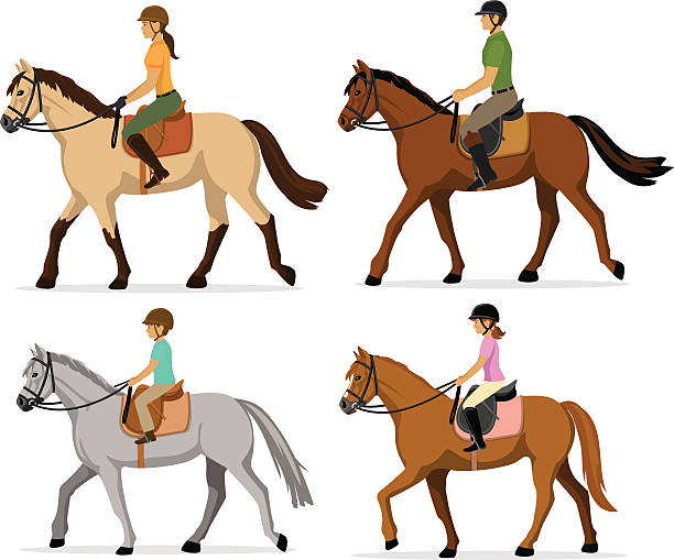 family horseback riding Man, Woman, Boy, Girl riding horses Vector Illustration Set, isolated. Family equestrian sport training horseback ride all horse riding stock illustrations