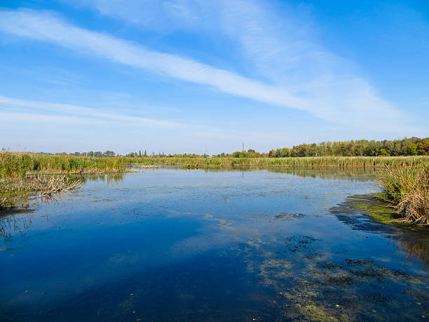 istock Beautiful lake and blue sky on autumn 614630854