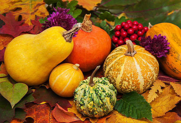 istock Pumpkins and leaves 614632750