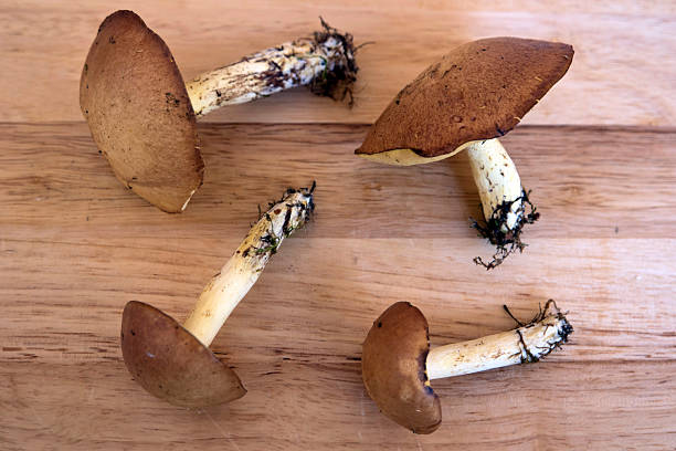 istock Mushrooms on a wooden board 614637790