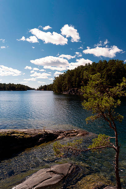 istock At the Lake Vaenern in Sweden 614638126