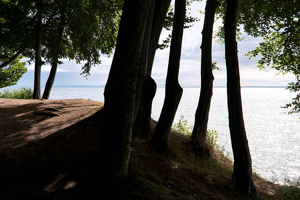 istock Lake Vaettern near Hjo in Sweden 614638284