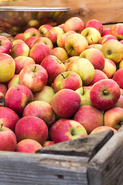 istock Crate of apples at the market. 614638340