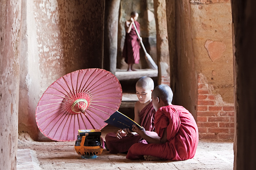 Young buddhist monk reading a book inside the temple.