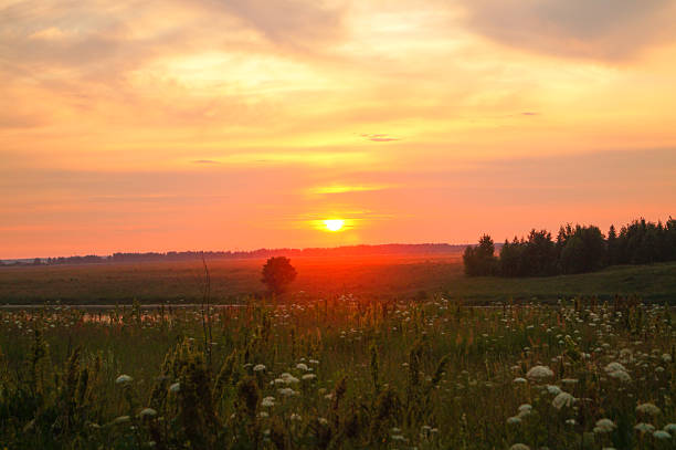 istock field with green grass against the sunset sky 614639324
