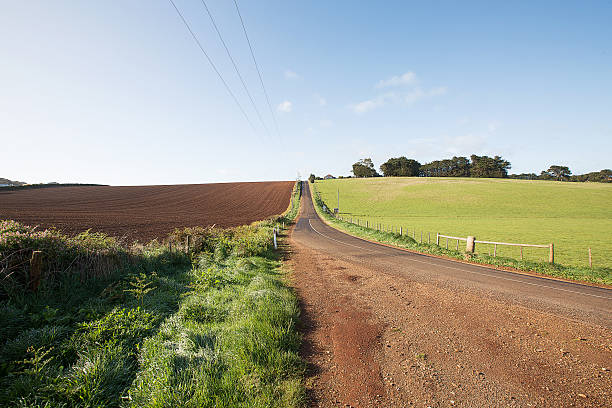 istock Rural road past ploughed field 614639562