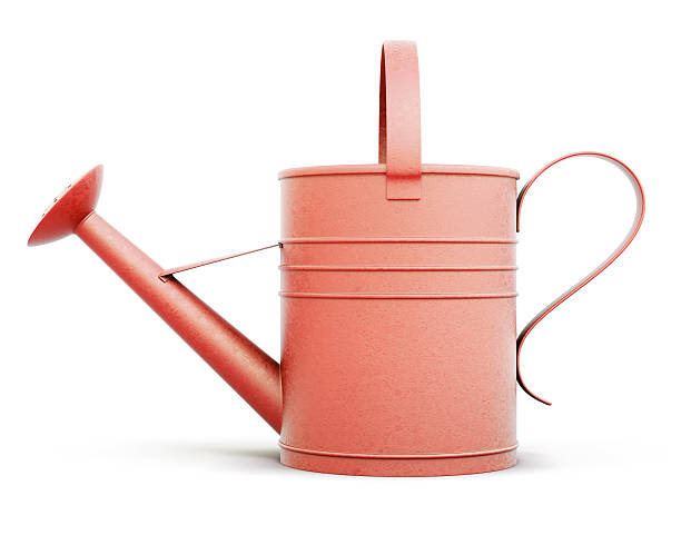 istock Metal watering can isolated on white background. Front view. 3d 614639642