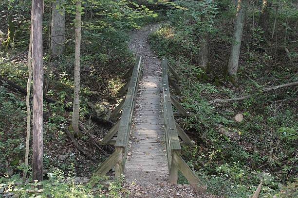istock Top of Wooden Bridge 614642704