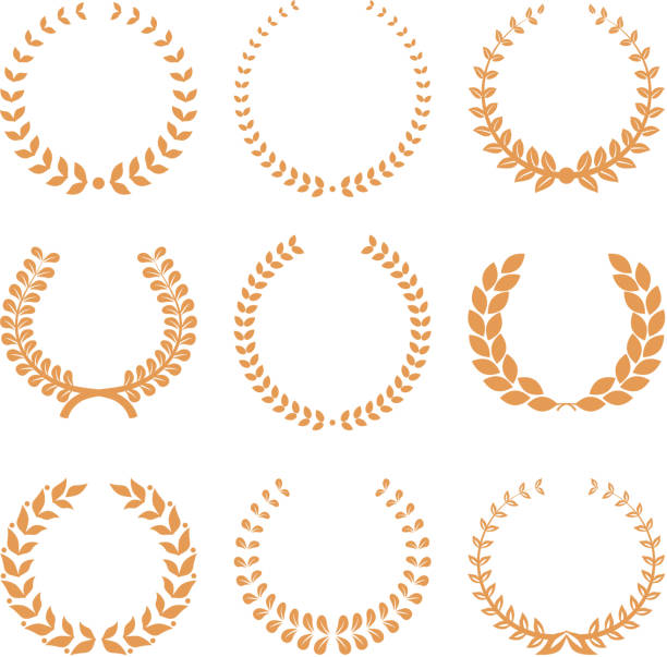 Vector gold award wreaths, laurel on white background. Vector Vector gold award wreaths, laurel on white background. Vector illustration Magnolia stock illustrations