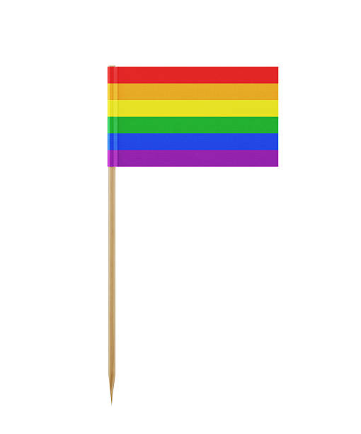istock Tiny Flag of LGBTI on a Toothpick 614649968