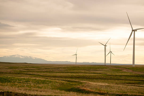 istock Wind Turbines in Colorado 614650160