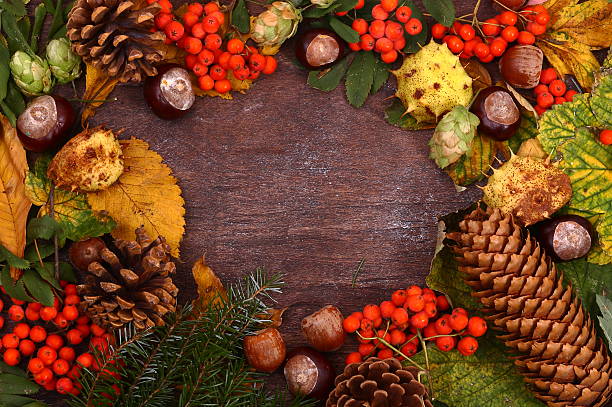 istock Leaves, chestnuts, acorns, pine cones, mountain ash. 614650494