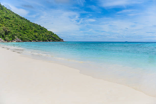 istock Tropical white sand beach and blue sky. Similan islands 614651636