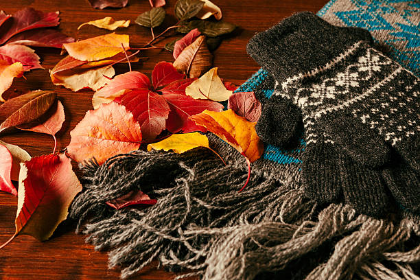 istock Gloves, scarf and autumnal foliage 614701870