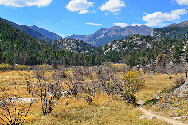istock Alpine landscape in the fall season 614701966