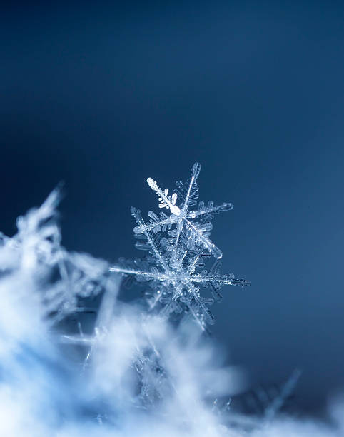istock natural snowflakes on snow 614703116