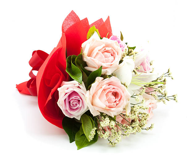 istock beautiful pink and white roses isolated on white 614703574