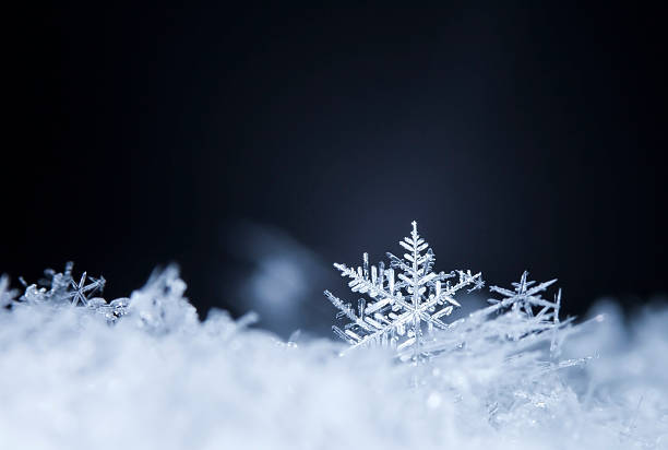 istock natural snowflakes on snow 614704346