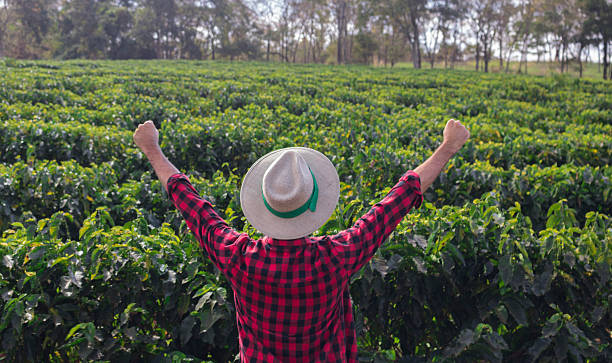 istock Farmer with hat looking the coffee plantation field 614705378