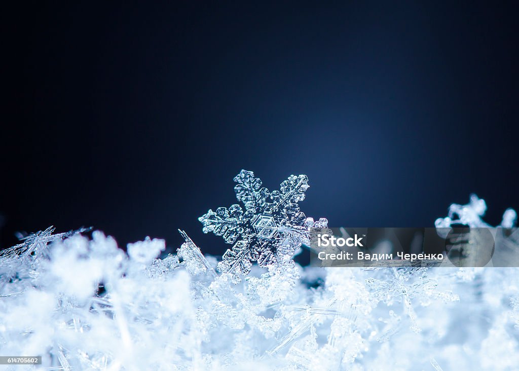 Flocons de neige sur la neige - Photo de Abstrait libre de droits