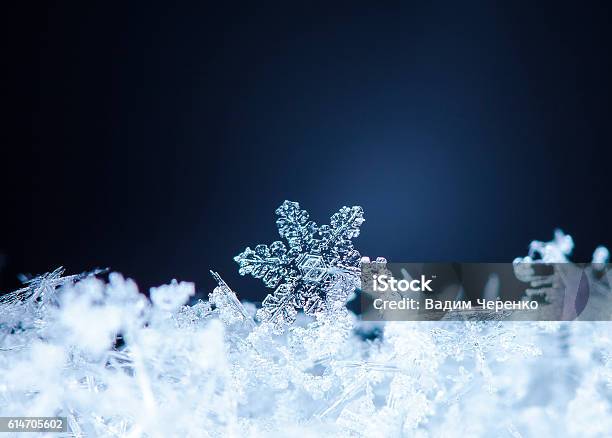 Natural Snowflakes On Snow Stock Photo - Download Image Now - Abstract, Arts Culture and Entertainment, Backgrounds