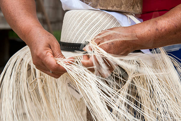Manual Hat Weaving Process Manta, Ecuador - January 1, 2005: Traditional Weaving Of Ecuadorian Toquilla Straw Hats - UNESCO Intangible Cultural Heritage of Humanity weaverbird photos stock pictures, royalty-free photos & images