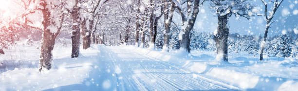 istock winter road in the morning 614707410