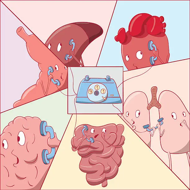 Vector illustration of Cute Internal organs cal 911