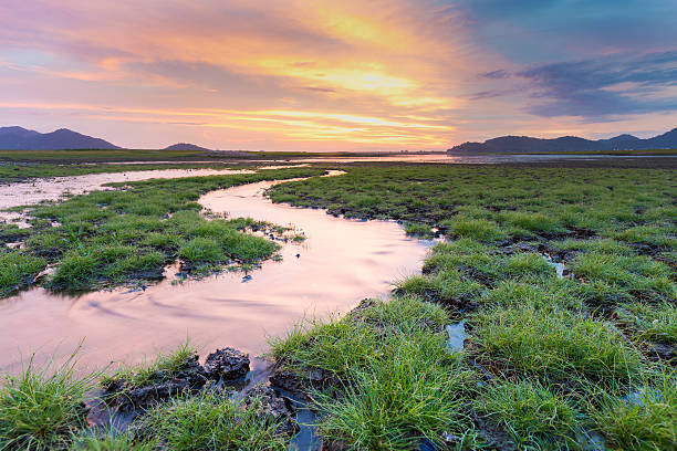 istock Natural small waterway with beautiful sunset sky 614709112