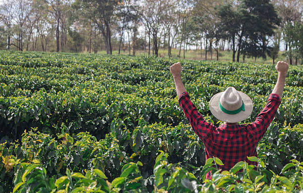 istock Farmer with hat looking the coffee plantation field 614709386