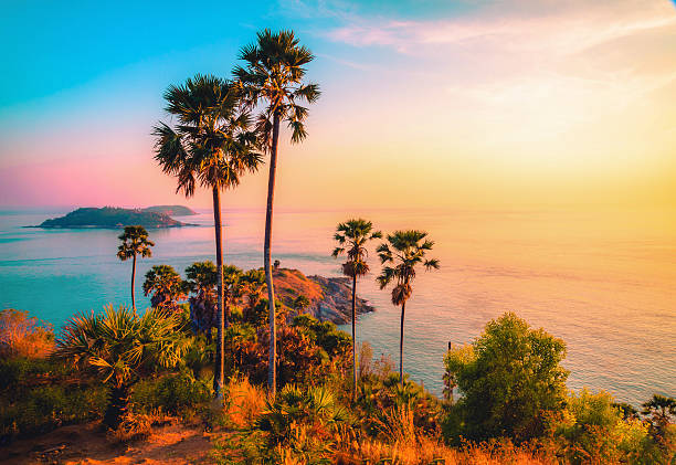 phromthep cape viewpoint al cielo crepuscolare a phuket, thailandia - palm tree tree sky tropical tree foto e immagini stock