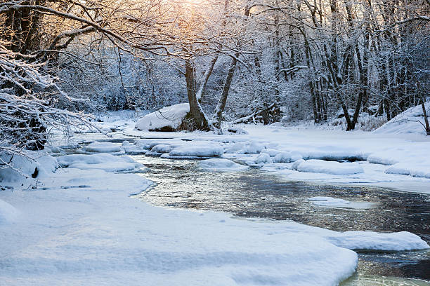 istock Sunset in the forest by the river with snow and 614710952