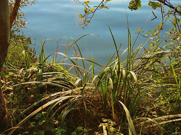 istock Nature in the Czech Republic 614711722