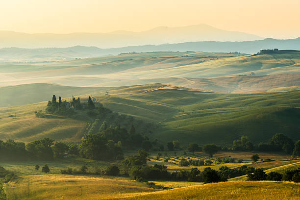 summer landscape of Tuscany, Italy. stock photo
