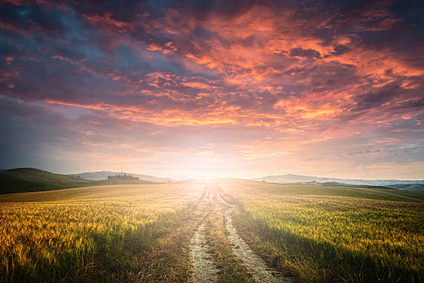 chemin de terre  - winding road sunlight field cultivated land photos et images de collection