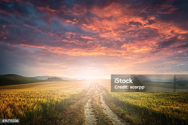 Dirt Road Stock Photo - Download Image Now - Sunset, Road, Sunrise - Dawn